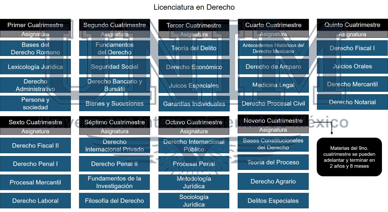 Licenciatura En Derecho